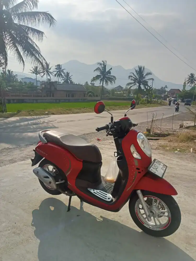 honda scoopy 2024