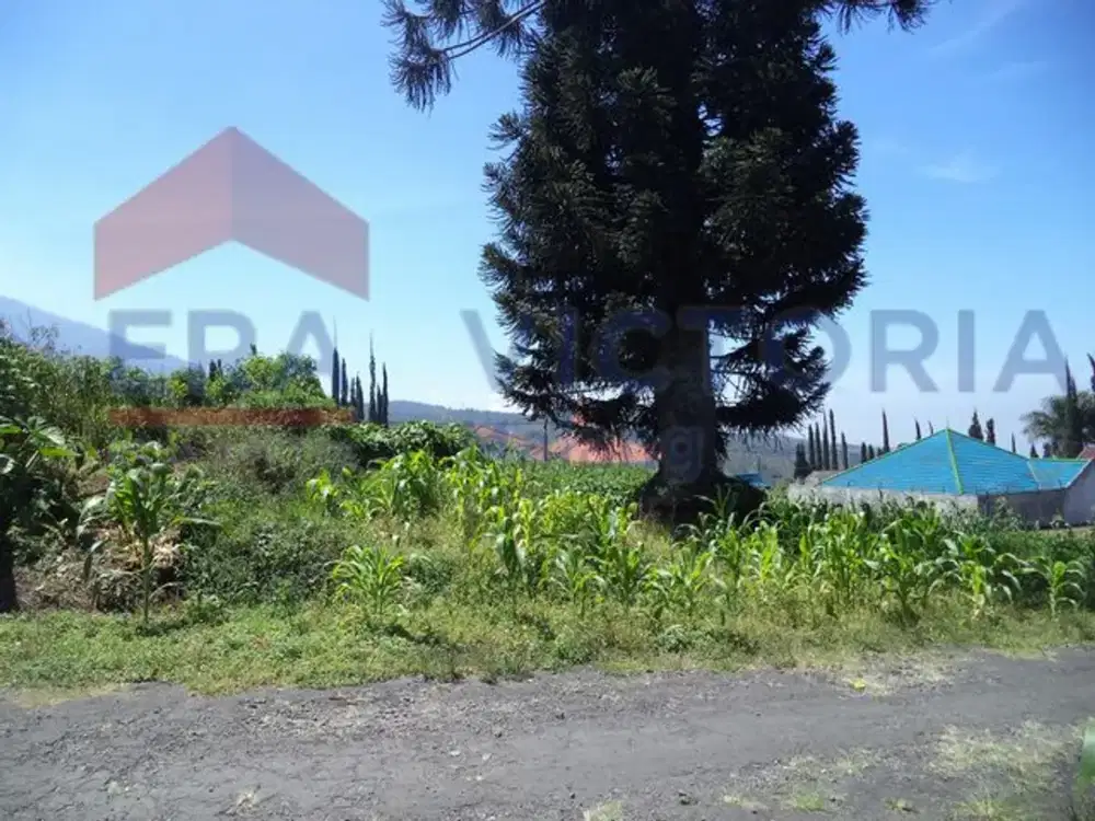 Tanah Kawasan Premium Kota Batu Cocok untuk Villa