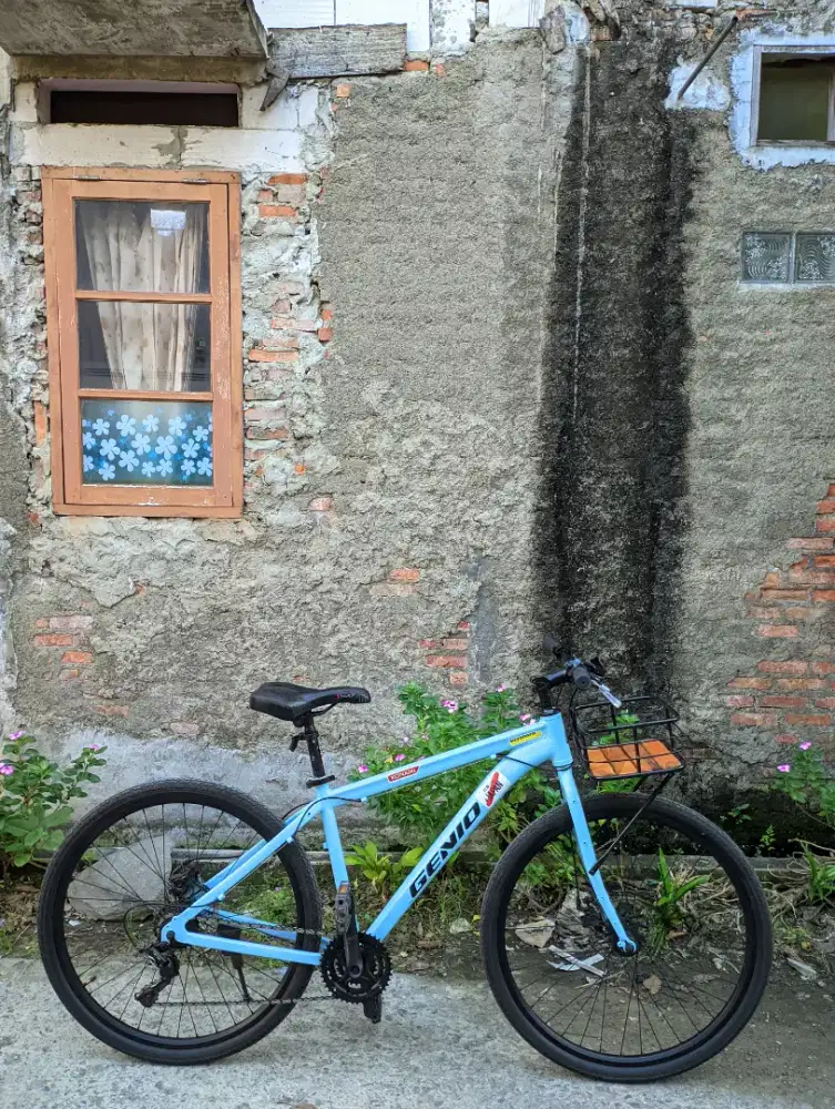 Sepeda MTB Genio Arroyo Elite