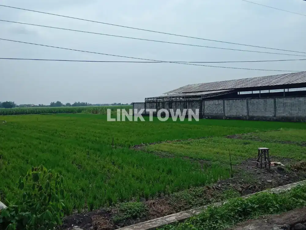 Dijual Tanah Bebas Banjir di Kawasan Kesamben Jombang