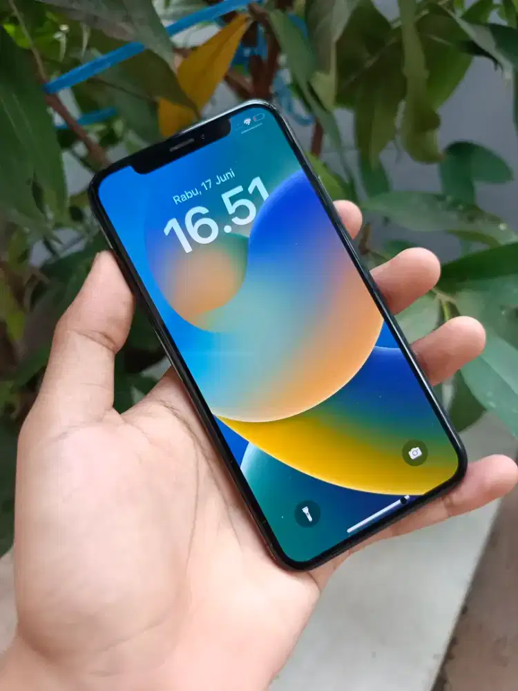 iPhone X 256GB iBox