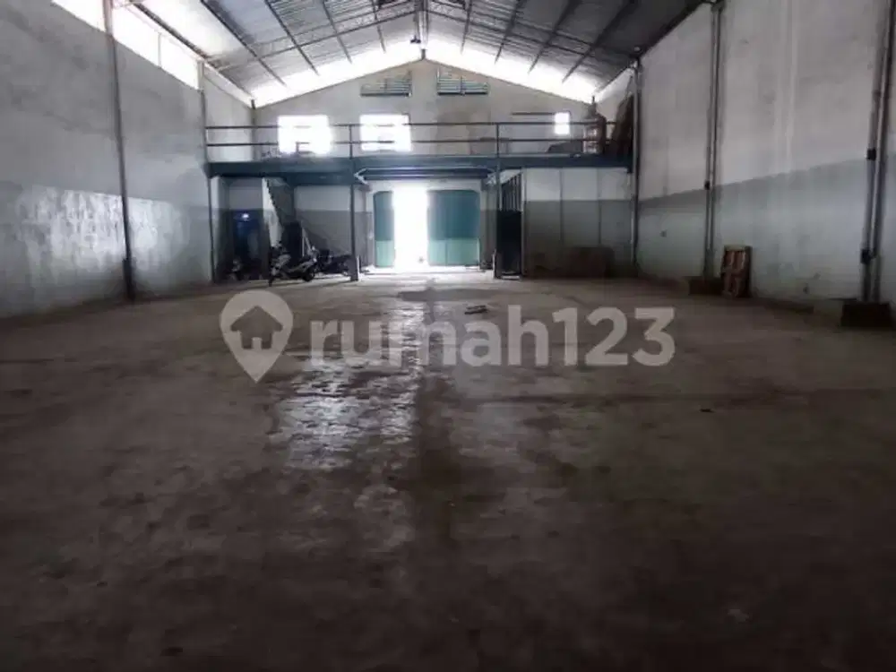 Gudang Miami Tegal Alur