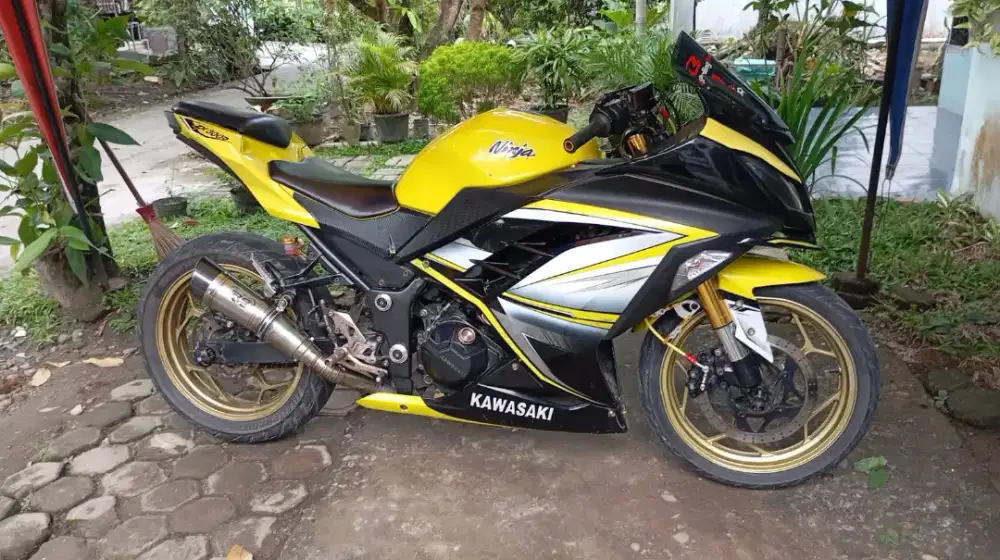 Kawasaki Ninja 250 FI 250 cc 2 silinder