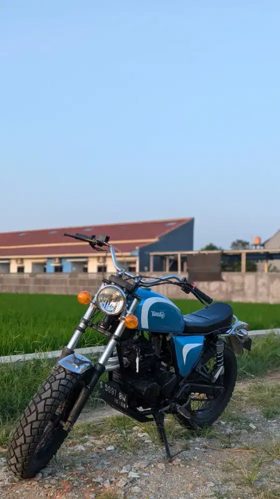 Yamaha Scorpio Custom British/Tracker