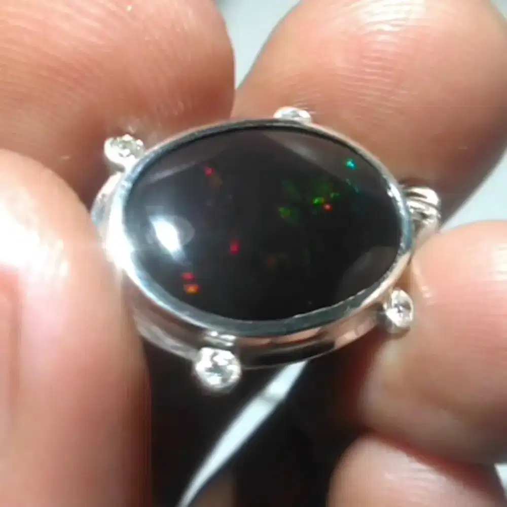 Black Opal Banten