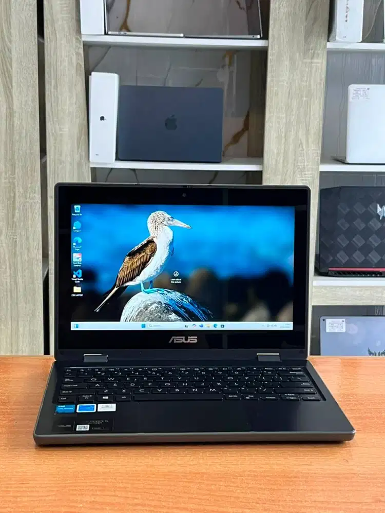 NOTEBOOK ASUS BR100FKA INTEL CELERON N4500 RAM 4 SSD 126GB TOUCHSCREEN
