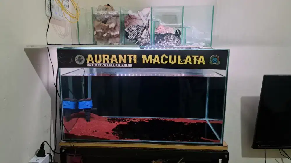 Akuarium 70 CM× 40 CM