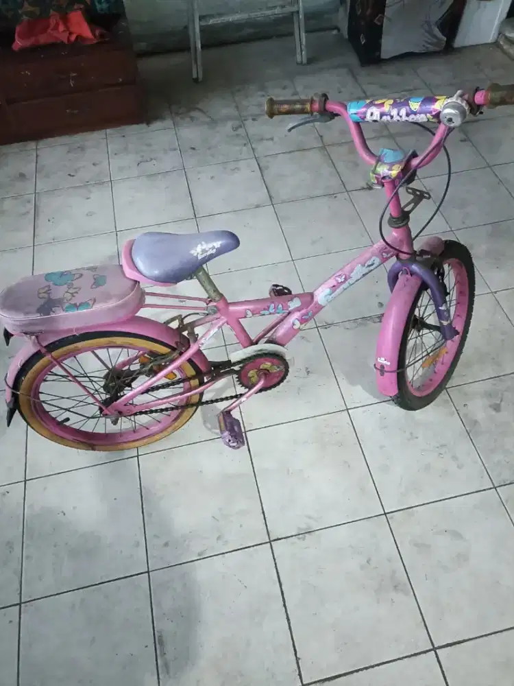 Sepeda Anak Perempuan