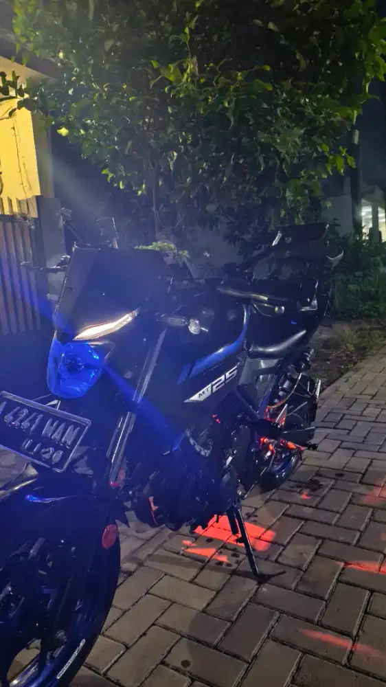 Yamaha MT 25 2018