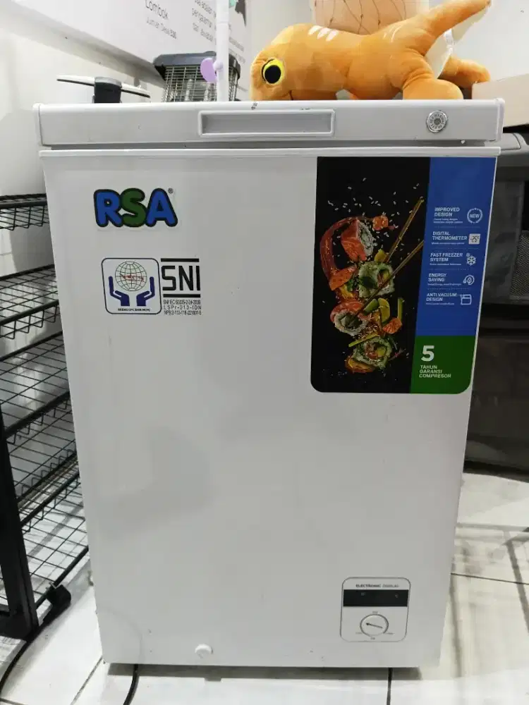 Freezer RSA 96L