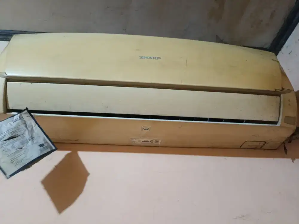 Ac sharp 1/2 PK