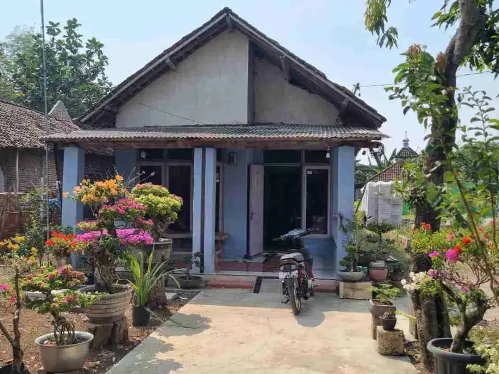 DI JUAL RUMAH 

KEL. : GROBONGAN 
KEC. : MOJOWARNO
KAB  : JOMBANG
