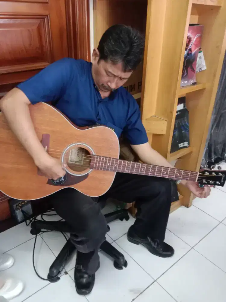 Gitar Grande FW-401E NS Original