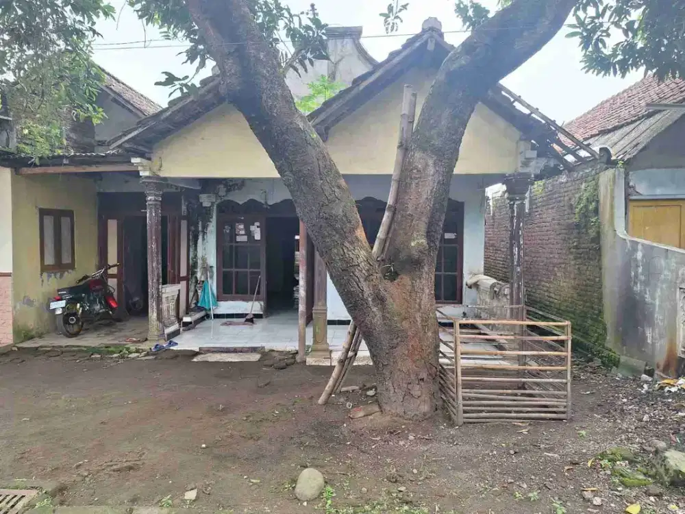 DI JUAL RUMAH 

KEL. : REJOSLAMET
KEC. : MOJOWARNO
KAB  : JOMBANG