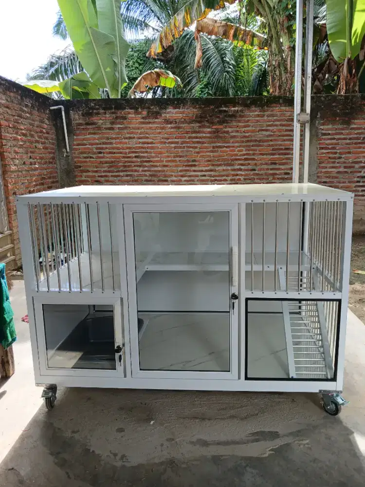Kandang kucing lampung