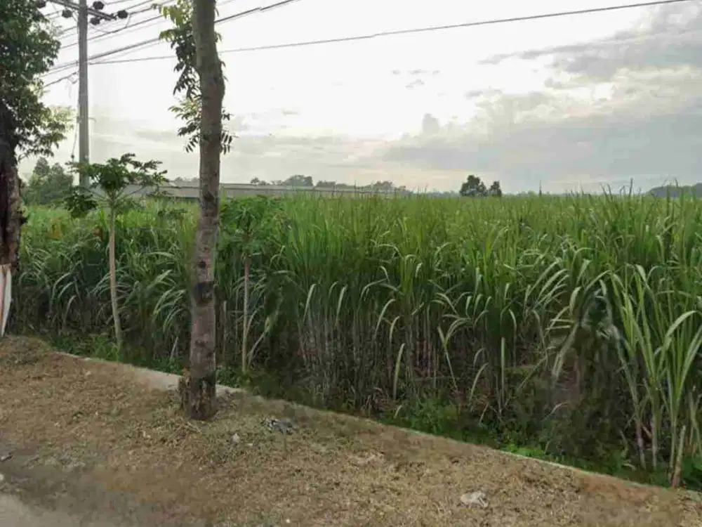 TANAH ZONA INDUSTRI DI KEDIRI NOL JALAN PROPINSI AKSES CONTAINER