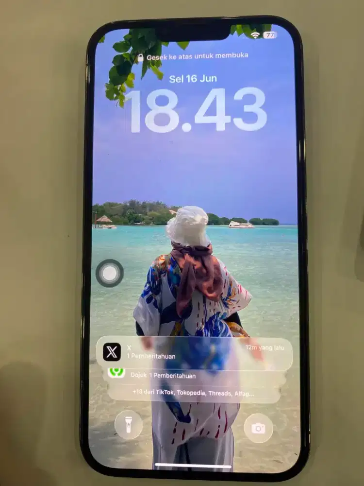 Iphone 13 promax ex inter