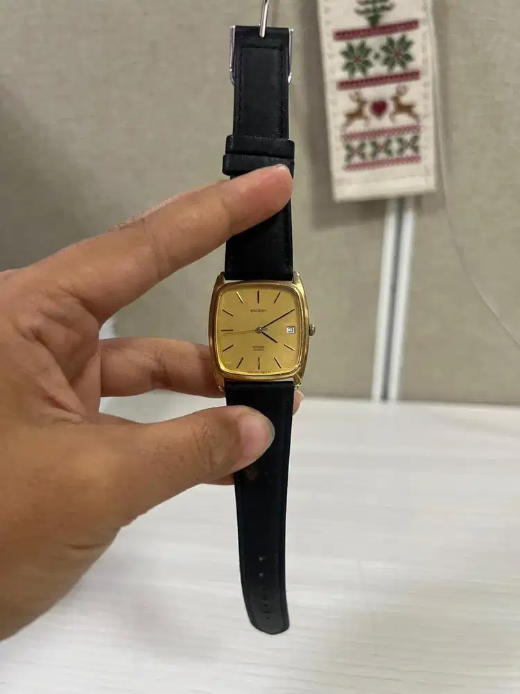 Jam Tangan Wanita Exceed Citizen Quartz