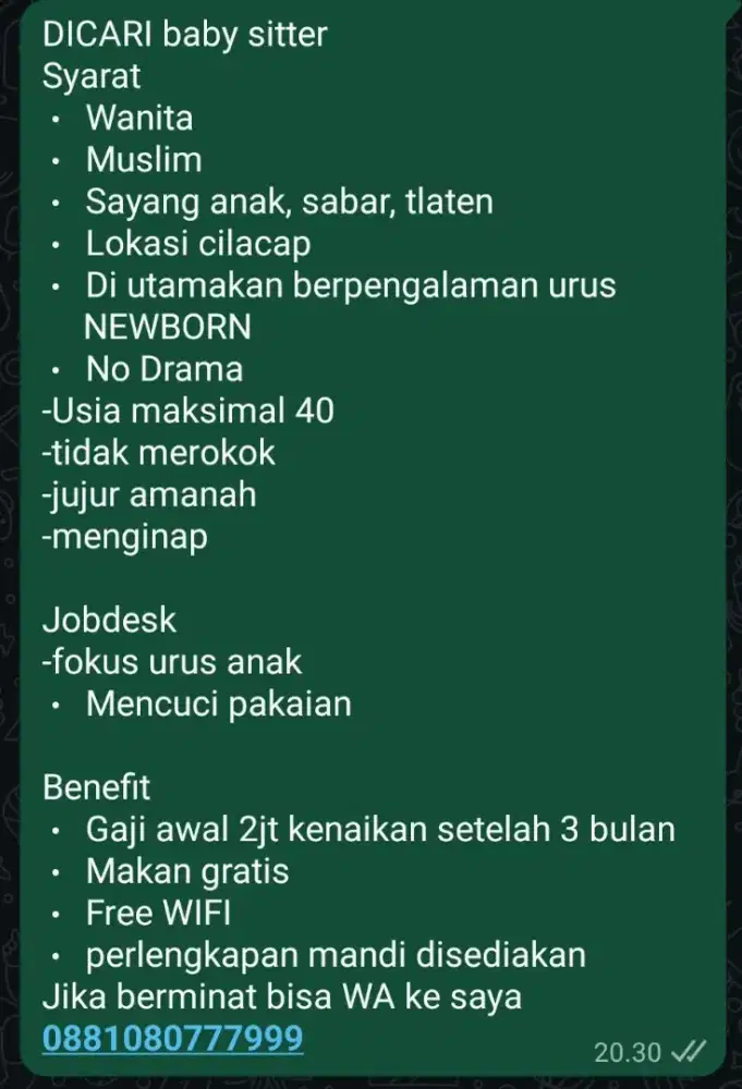 DICARI BABY SITTER NEWBORN