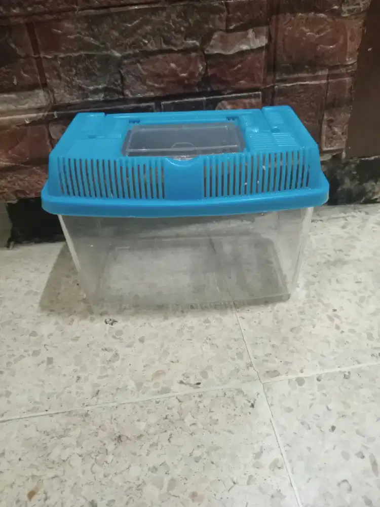 AQUARIUM IKAN MINI