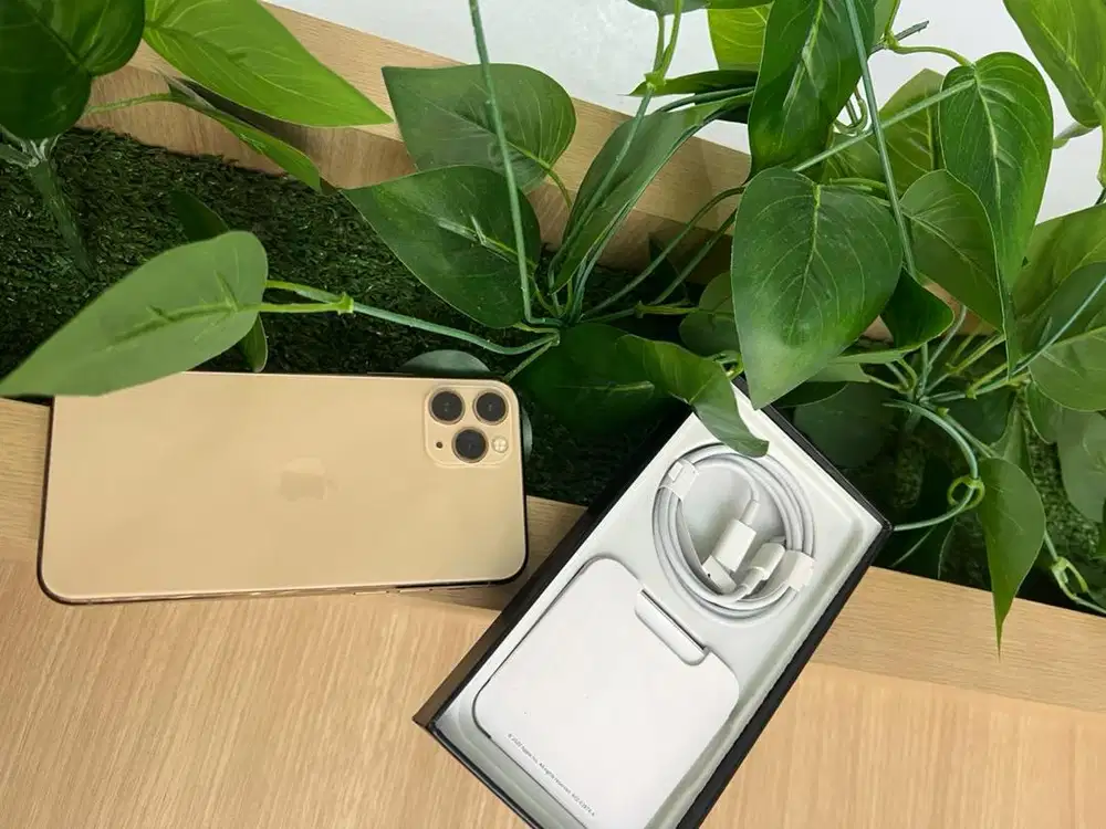 iphone 11 pro 256gb cinta apple