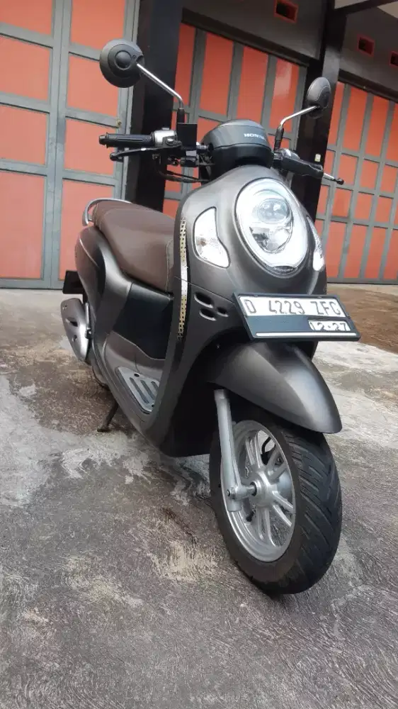 Honda Scoopy Stylish