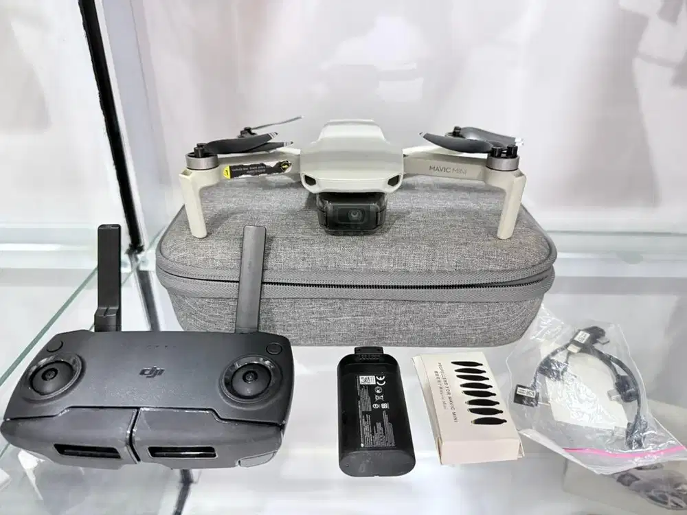 Dji mavic mini basic