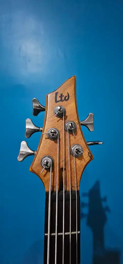 Bass 5 strings LTD