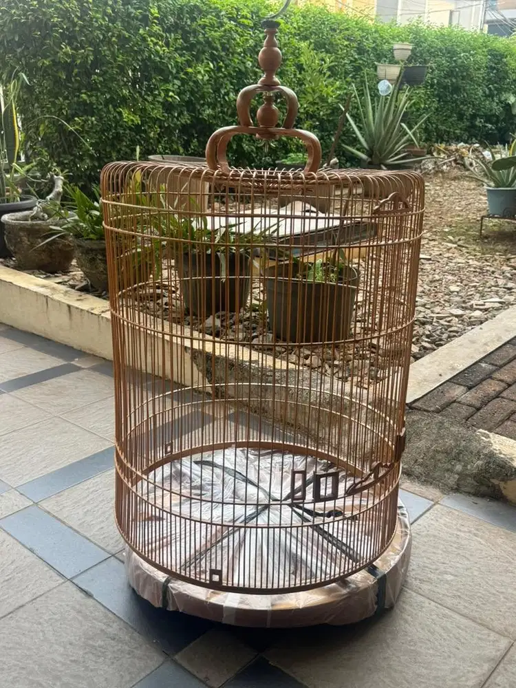 kandang murai soloan no.3