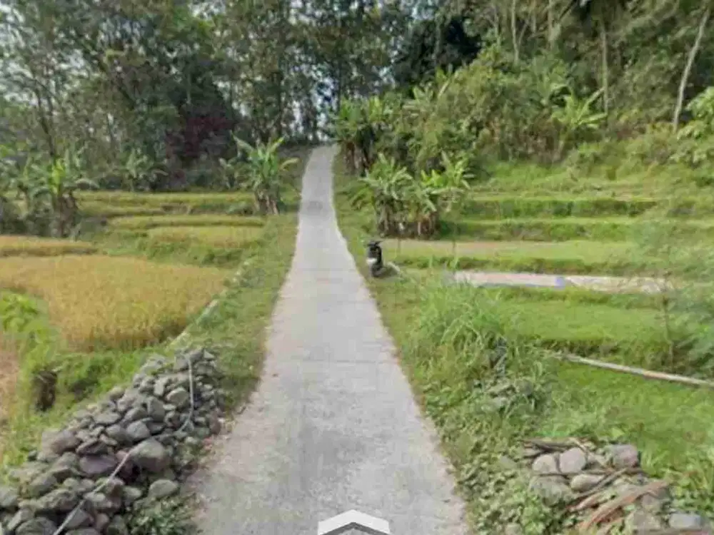 Tanah Super Murah di Purwoharjo, Samigaluh, Kulon Progo