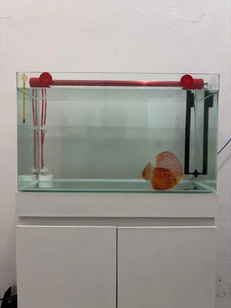 WTS Dijual Aquarium Kaca Bending Kabinet Canister Skimmer Ikan Discus