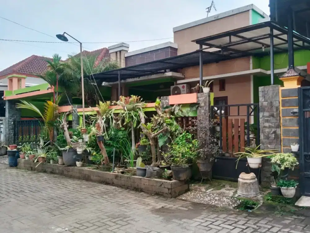 Dijual Rumah Siap Pakai Daerah Kalipancur Manyaran, Semarang