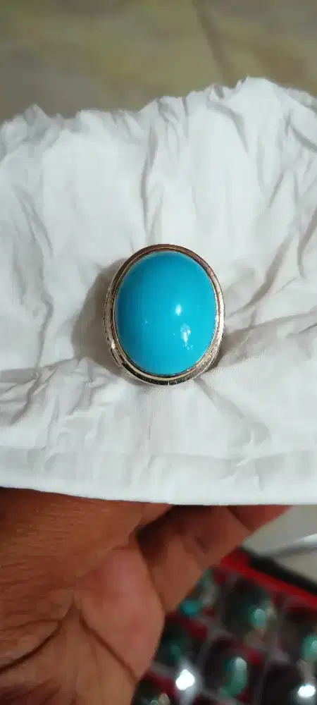 Pirus Persia Polos lawasan mewah