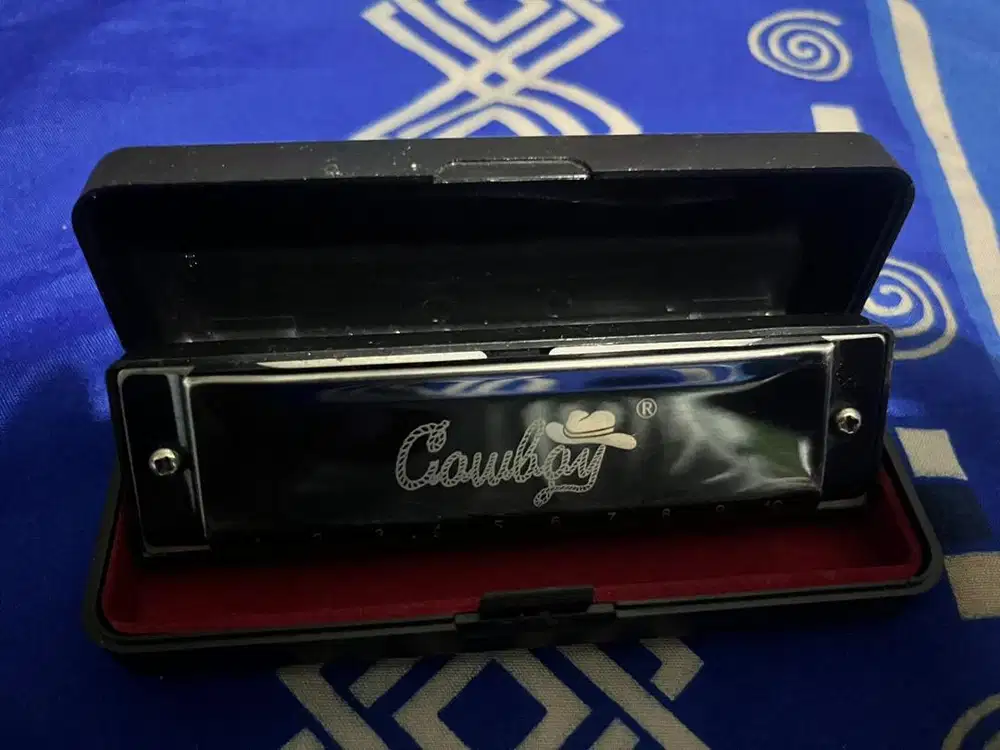 Harmonika c cowboy