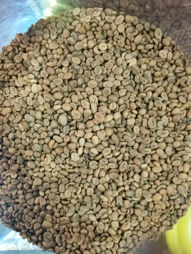SELALU READY GREEN BEANS ROBUSTA & ARABICA