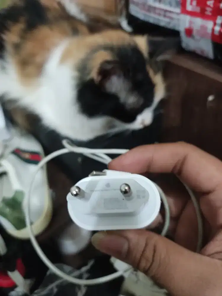 Charger. iPhone 13 pro   copotan