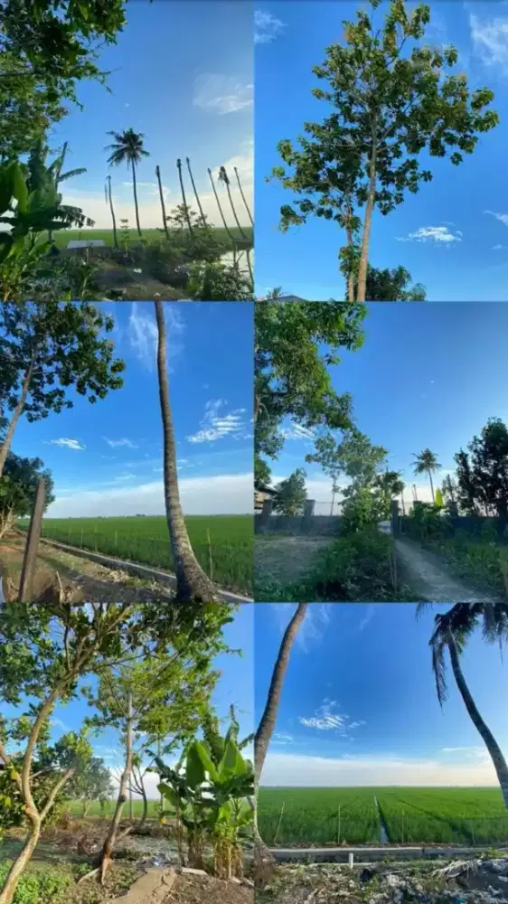 Siap kerja langsung berangkat