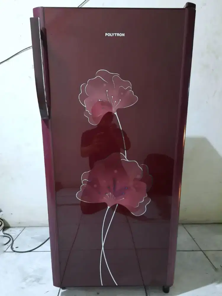 Kulkas polytron 1 pintu