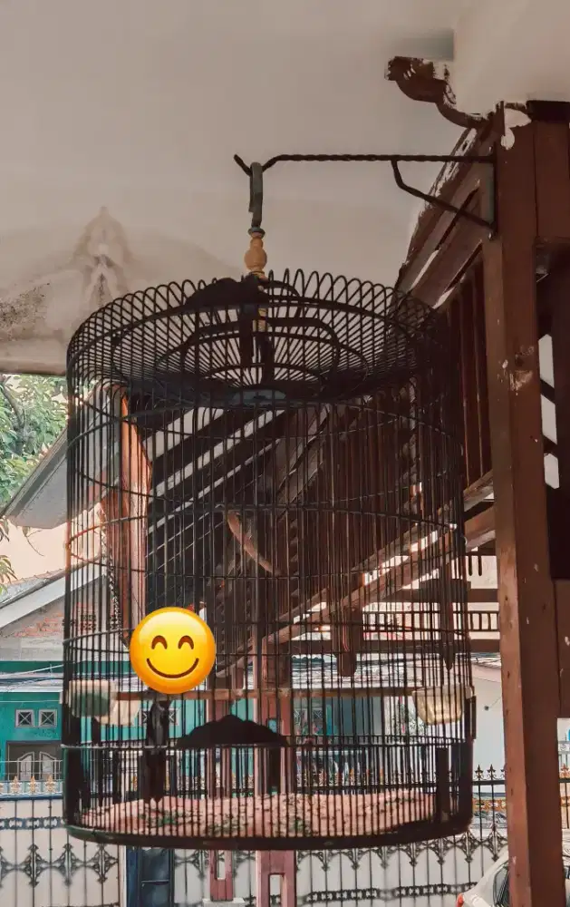 Kandang Murai No 1