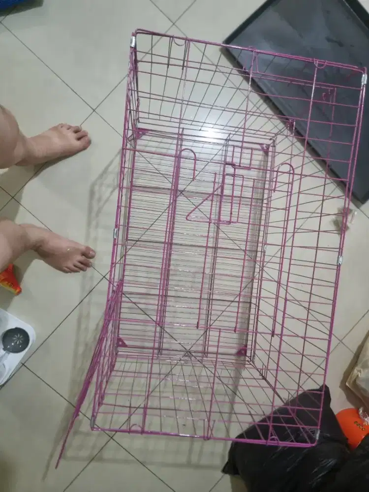 Kandang dan Litter Box kucing