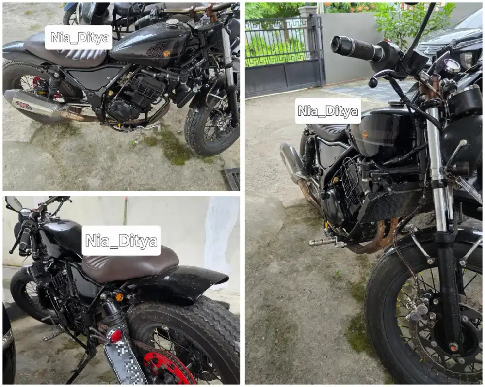 Kawasaki 250cc Karbu Custom