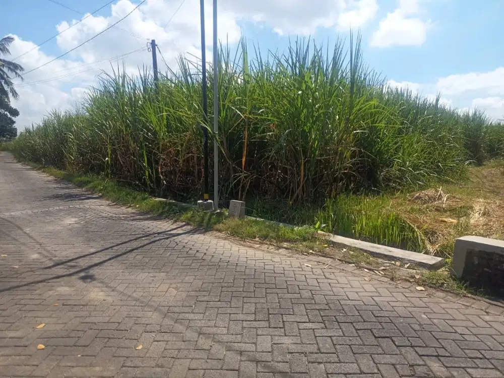 Jual Sawah seluas 53.520 m2