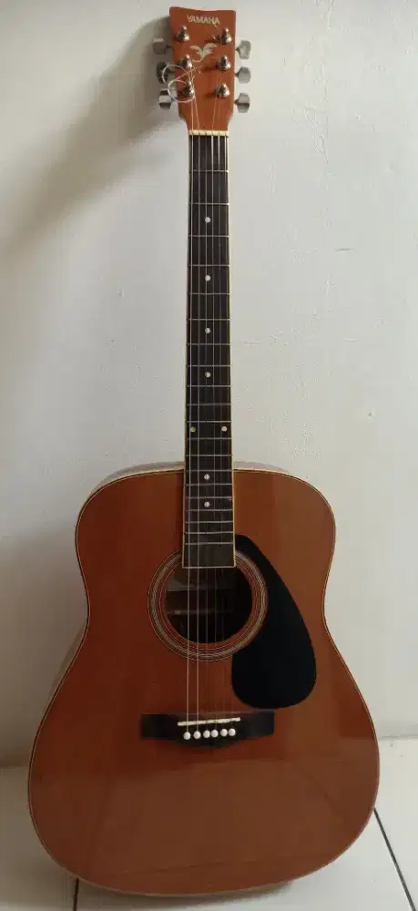 yamaha F310 custom