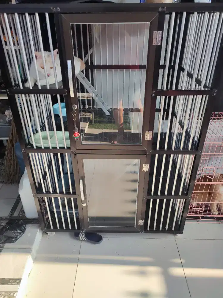 Kandang Alumunium 2 Lantai, besi dan Kucing Super Jinak
