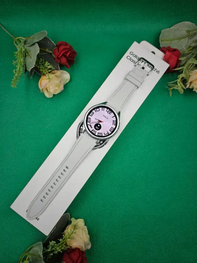 Samsung W6 47mm Classic Silver Istimewa