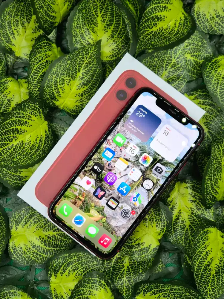 IPhone 11 256GB Resmi Terjamin
