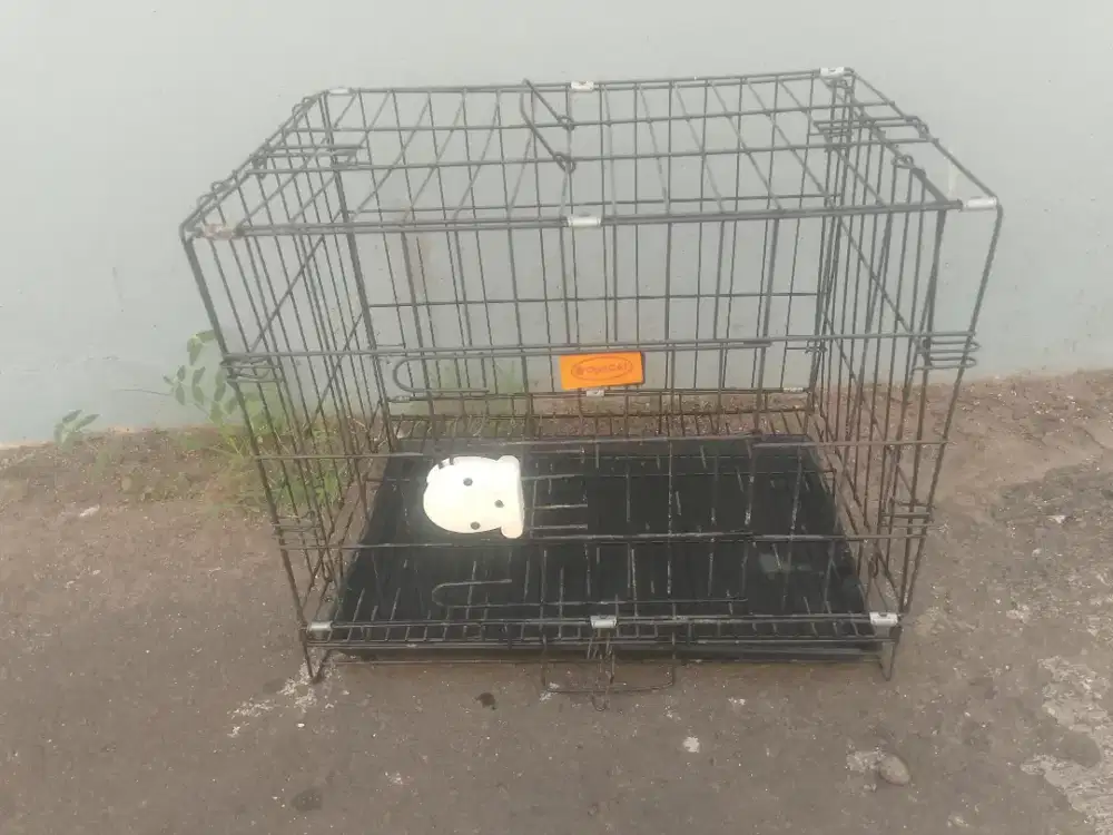 Jual kandang kucing