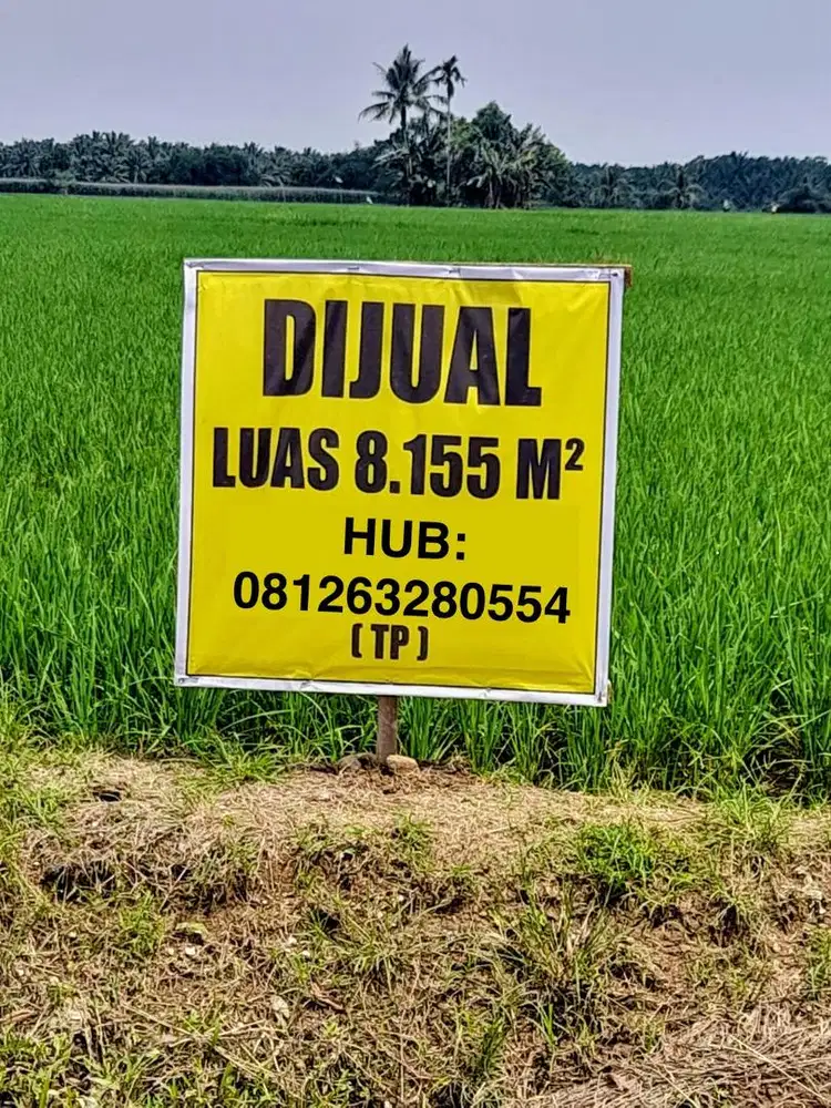 Dijual cepat, TP