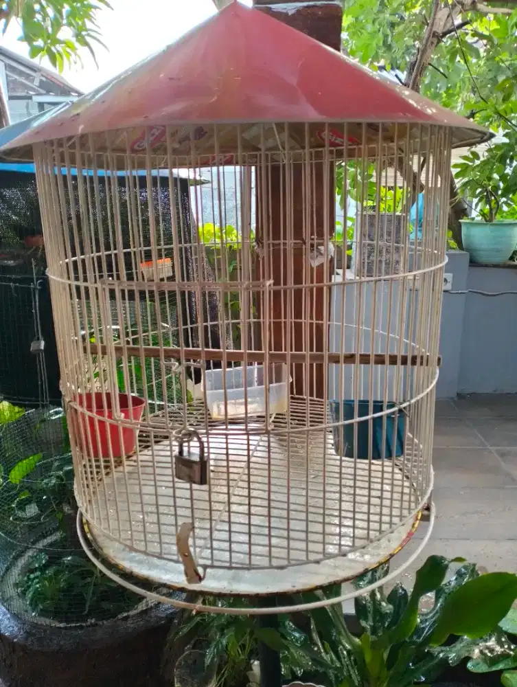 Jual kandang besi