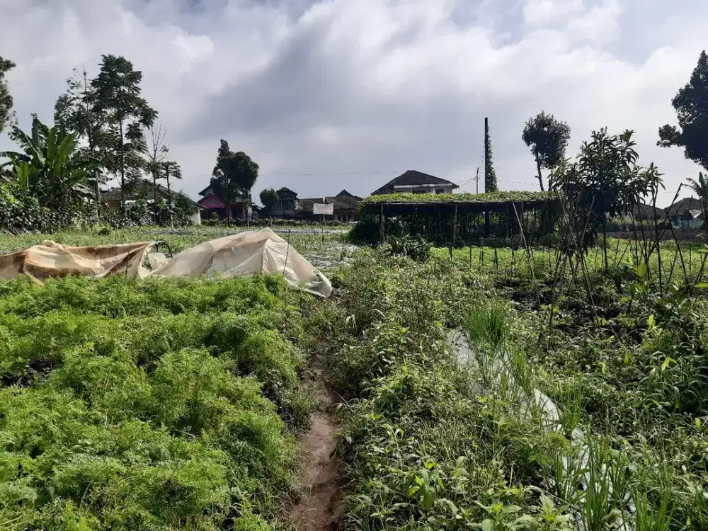 DIJUAL TANAH STRATEGIS DI GEKBRONG – CIANJUR